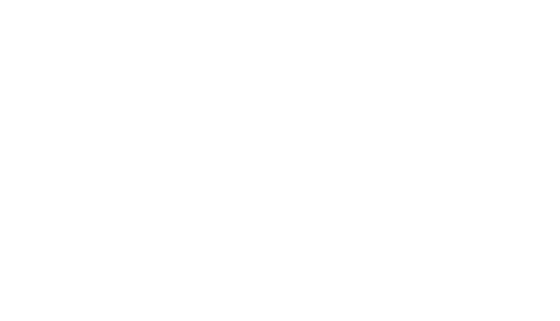 borlabs_logo
